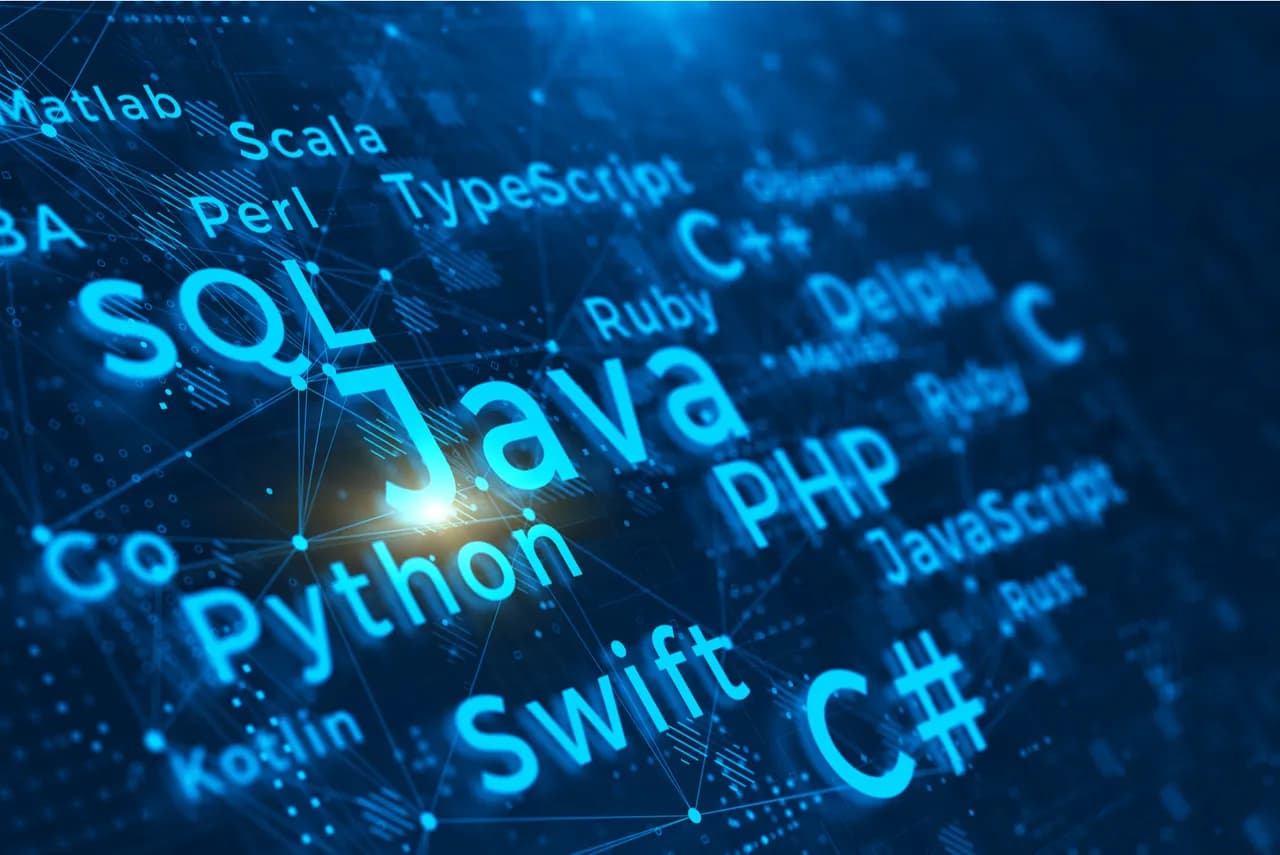 The Key Role of DSA in Programming Beyond Language Selection
